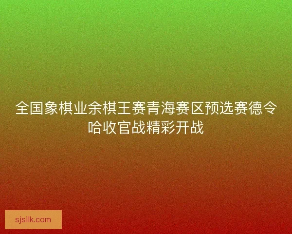 全国象棋业余棋王赛青海赛区预选赛德令哈收官战精彩开战